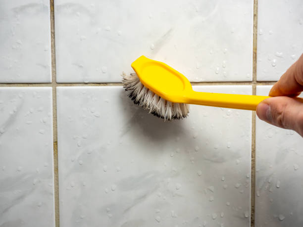 Best Preventive Mold Services in Prospect, OH