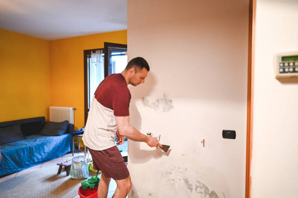 Best Mold Remediation for Specific Building Types in Prospect, OH